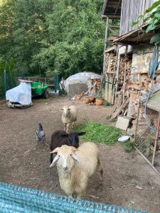 Насоки за повишаване на ролята на бенчмарковете на МФ