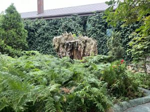 Иво Димов, зам.-председател на УС на НСОРБ и кмет на Димитровград пред БНТ: От 2026 г. общините могат да прилагат новия метод за определяне на такса смет