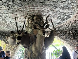 България получи дерогация от САЩ за българските дружества на Лукойл