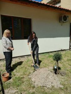 Зам.-министър Карева засади маслиново дърво пред новия Център за деца с увреждания в Хасково • МЗ