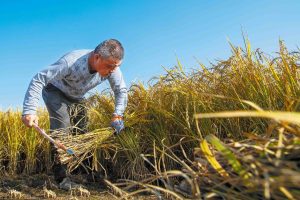 Властите предупреждават срещу злоупотреба със системата за жалби на потребителите