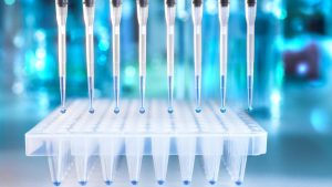 Външната търговия на Xiong’an нараства деветнадесет пъти през 2025 г