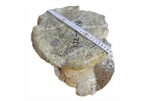 Загубите от телекомуникационни измами намаляват в Пекин, докато полицията засилва репресиите