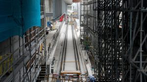 Изпълнителна агенция по горите | Новини