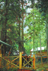 Huawei ще представи тройно сгъваем телефон на 10 септември, същия ден като пускането на iPhone 16 · TechNode