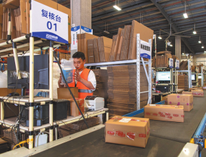 Изпълнителна агенция по горите | Новини