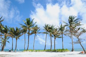 Железопътните оператори се борят със студа, за да осигурят безопасен железопътен транспорт