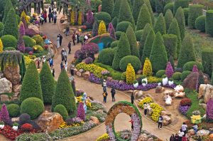 Задвижвана от AI стратегия, използвана за инвестиране