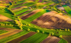 Цената на земеделската земя в ЕС се е увеличила с 6,1% през 2024 г